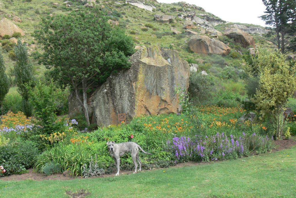 Aspen Guest House Clarens Extérieur photo