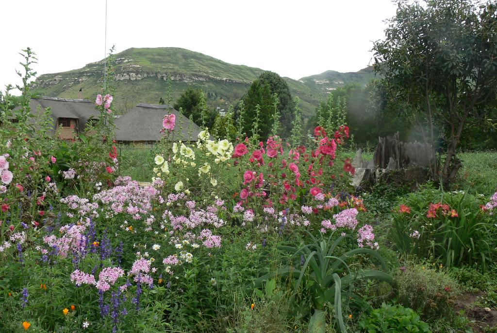 Aspen Guest House Clarens Extérieur photo